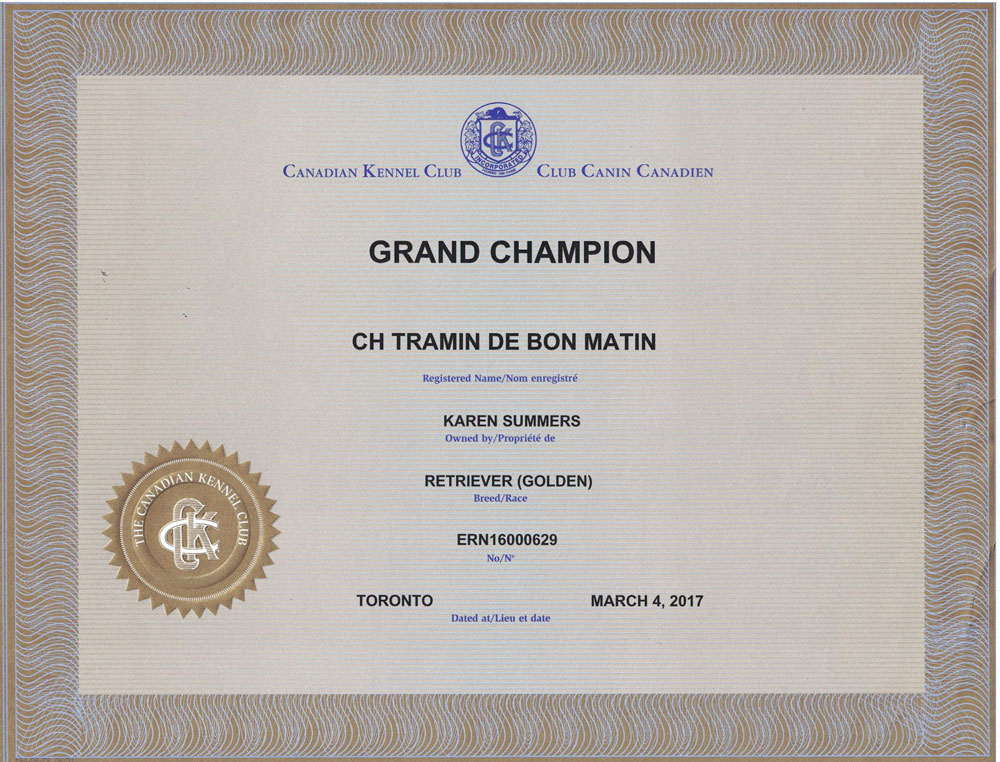 Canadian Grand Champion Dog Title