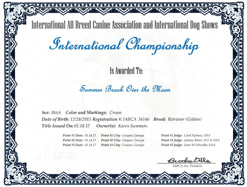 Molly's International Championship Dog Title