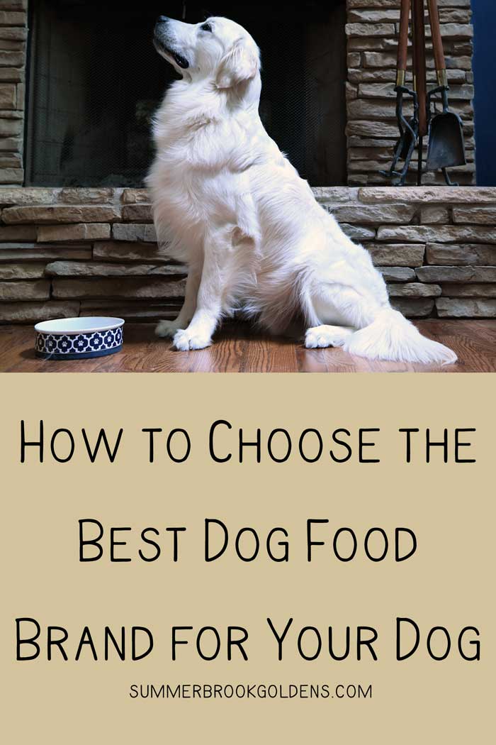 How to Choose the Best Dog Food Brand for Your Dog