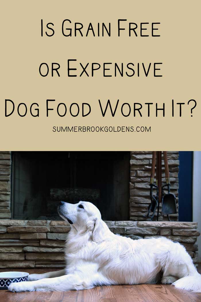 Are Grain Free or Expensive Dog Foods Worth It?