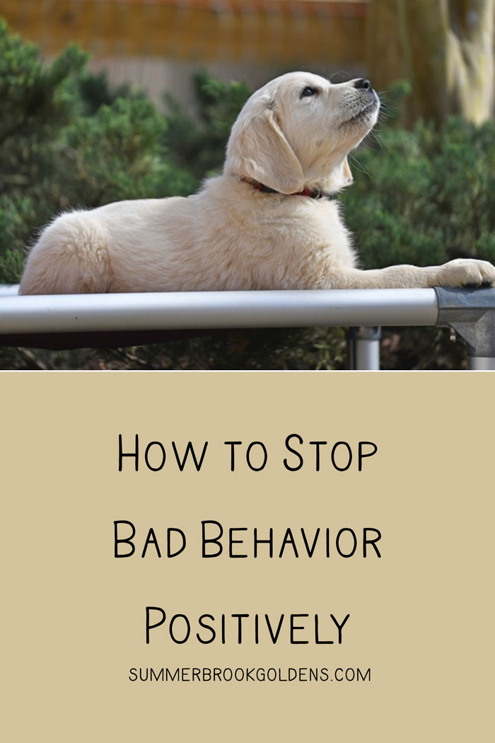 How to Stop Bad Behaviors Positively