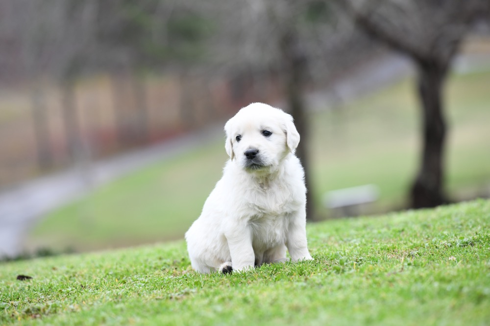 Eva's 5 Week Old Mr. Teal