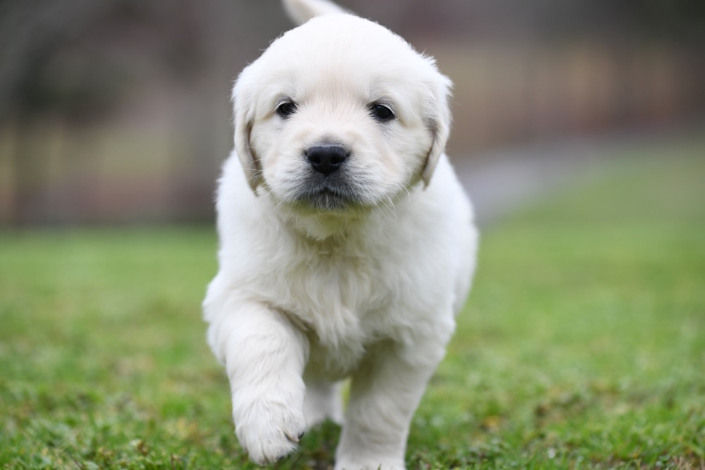 Eva's 5 Week Old Mr. Green
