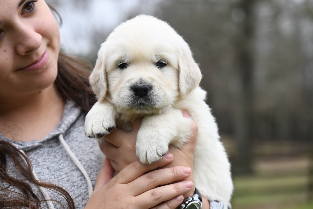 Eva's 5 Week Old Mr. Maroon