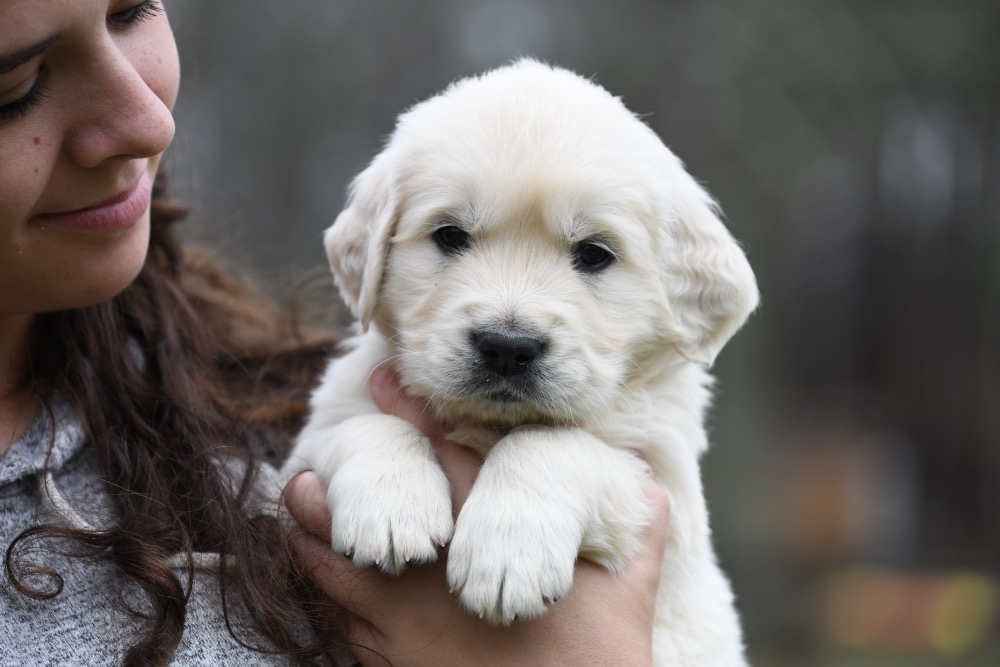 Eva's 5 Week Old Mr. Brown