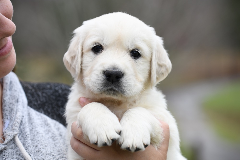 Eva's 5 Week Old Mr. Yellow