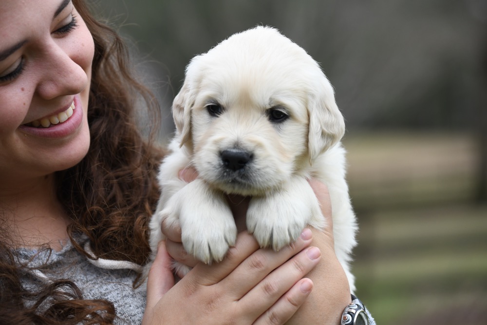 Eva's 5 Week Old Mr. Orange
