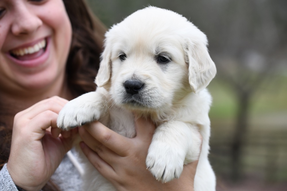 Eva's 5 Week Old Mr. Grey