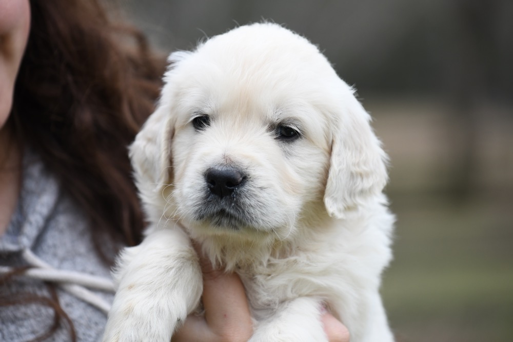 Eva's 5 Week Old Mr. Red