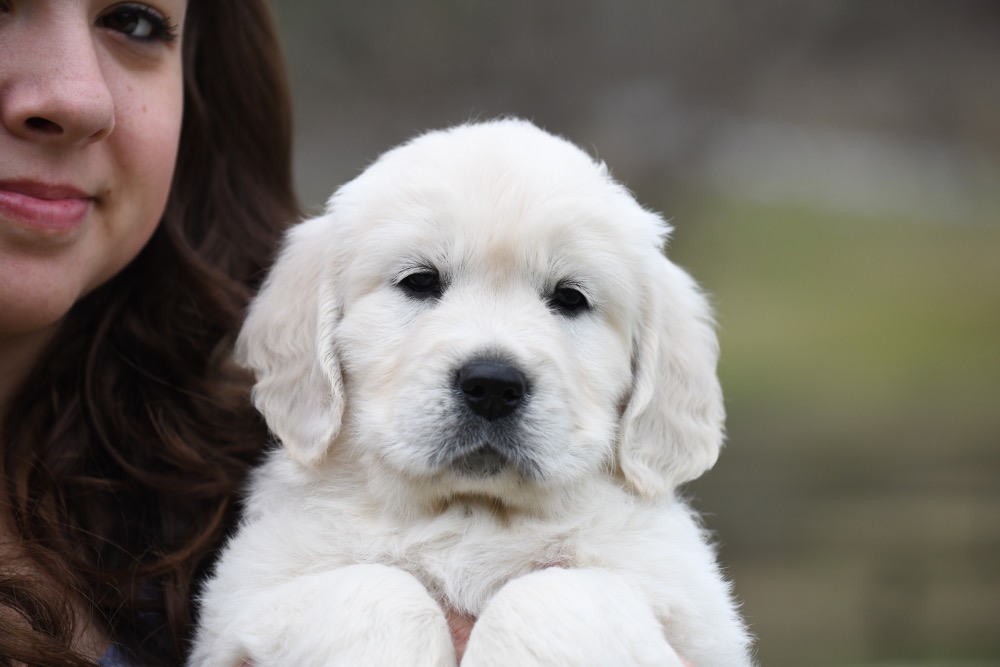 Molly's 6 Week Old Miss Pink