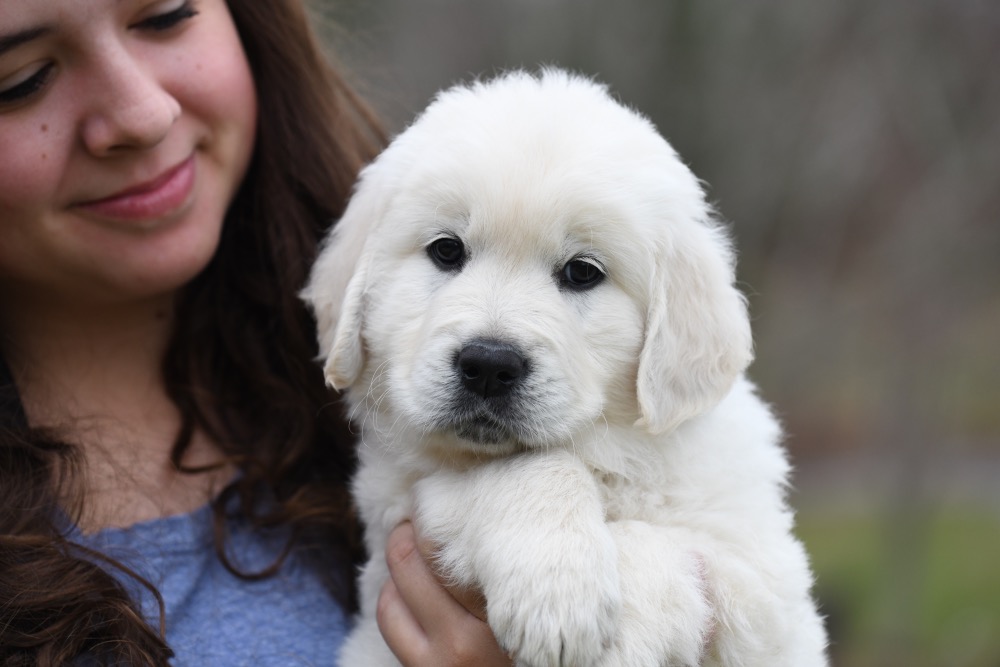 Molly's 6 Week Old Mr. Blue