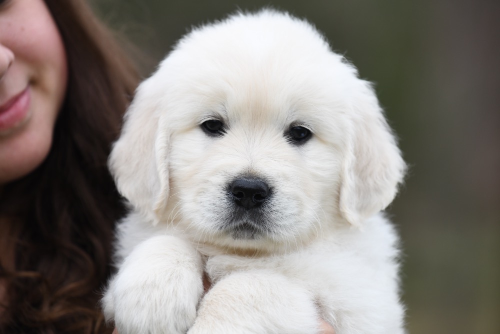 Molly's 6 Week Old Mr. Red