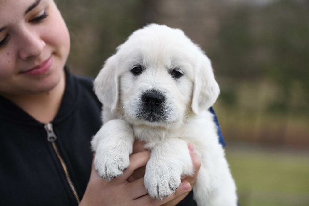 Eva's 6 Week Old Mr. Blue