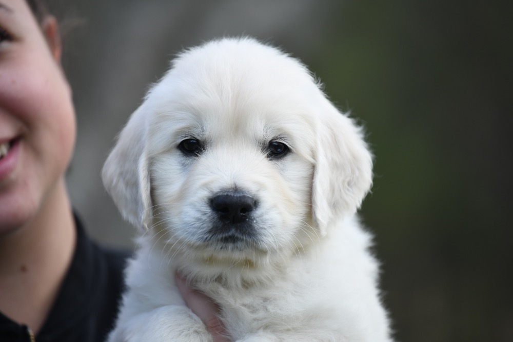 Eva's 6 Week Old Mr. Brown