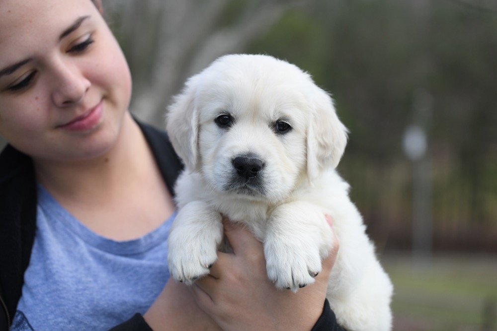 Eva's 6 Week Old Mr. Yellow