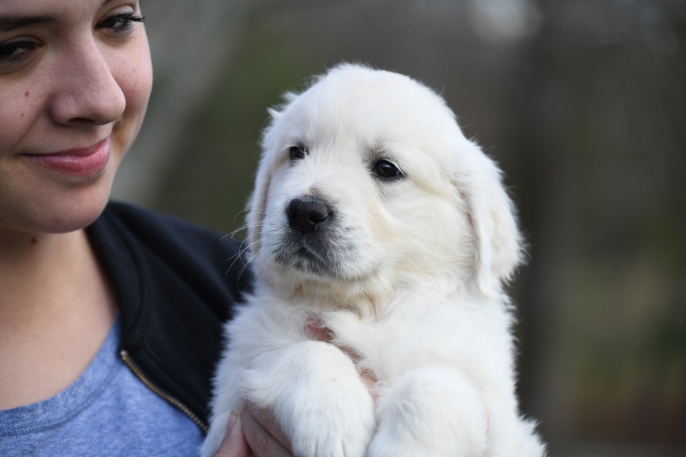 Eva's 6 Week Old Mr. Red