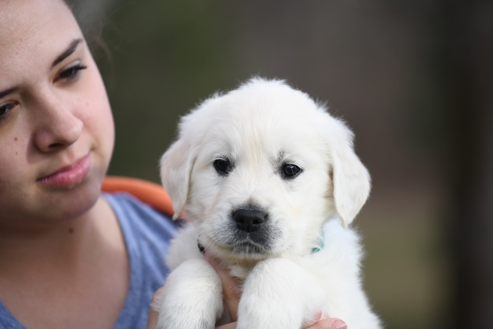 Eva's 6 Week Old Mr. Teal