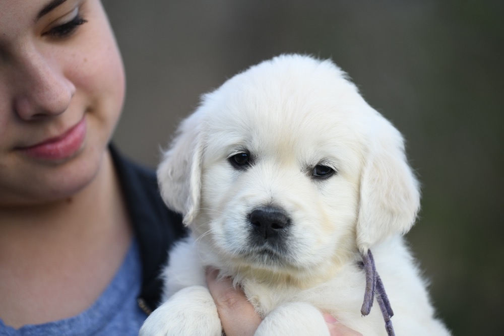 Eva's 6 Week Old Miss Purple