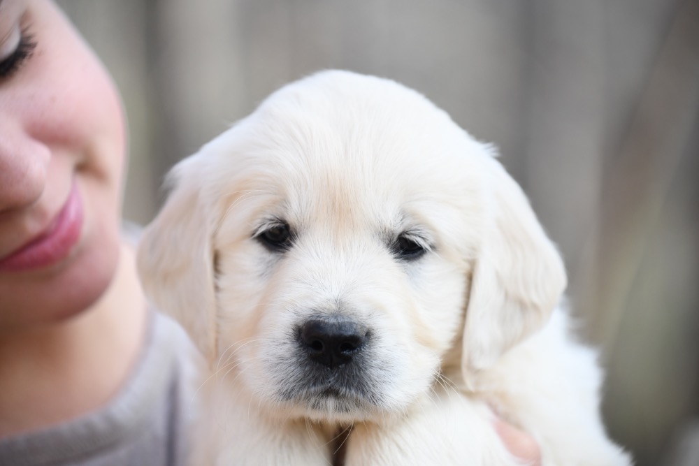 Eva's 6 week old Miss Pink