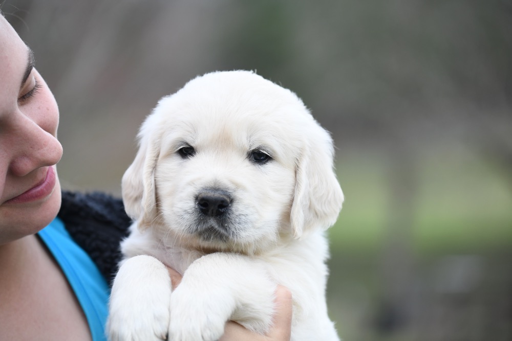Piper's 5 Week Old Mr. RB