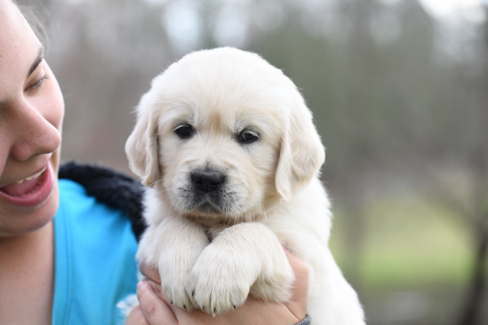 Piper's 5 Week Old Miss Bee