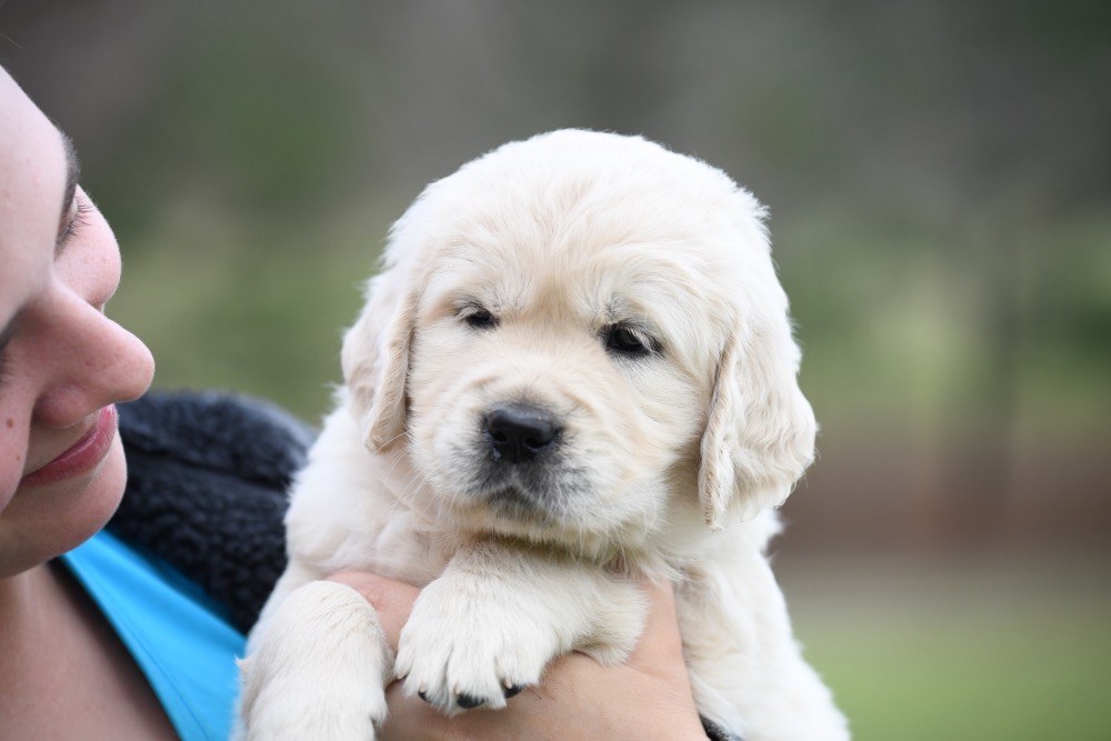 Piper's 5 Week Old Miss Bubbles