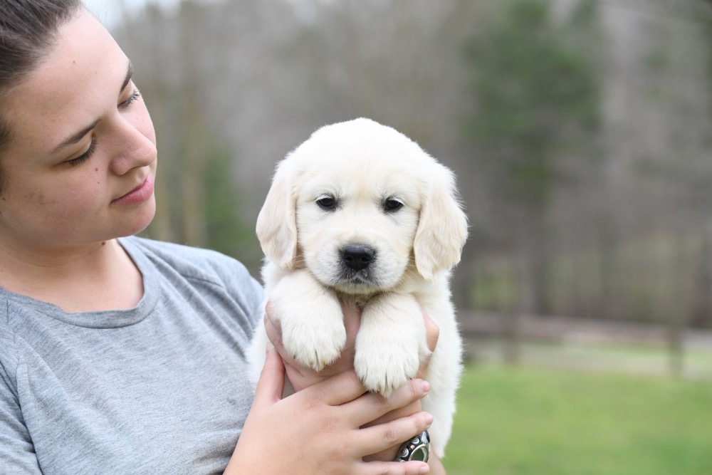 Tara's 6 1/2 Week Old Mr. Paws