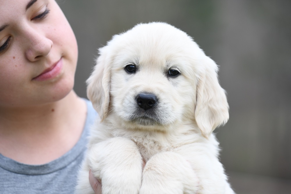 Tara's 6 1/2 Week Old Mr. LB