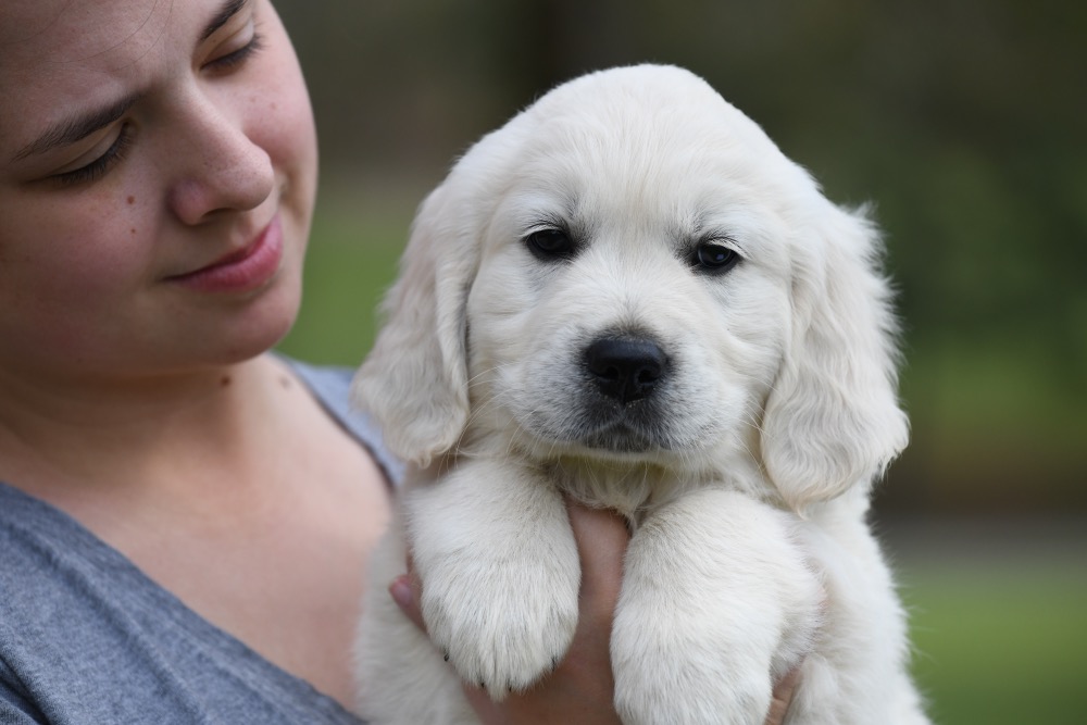 Piper's 6 Week Old Mr. Camo