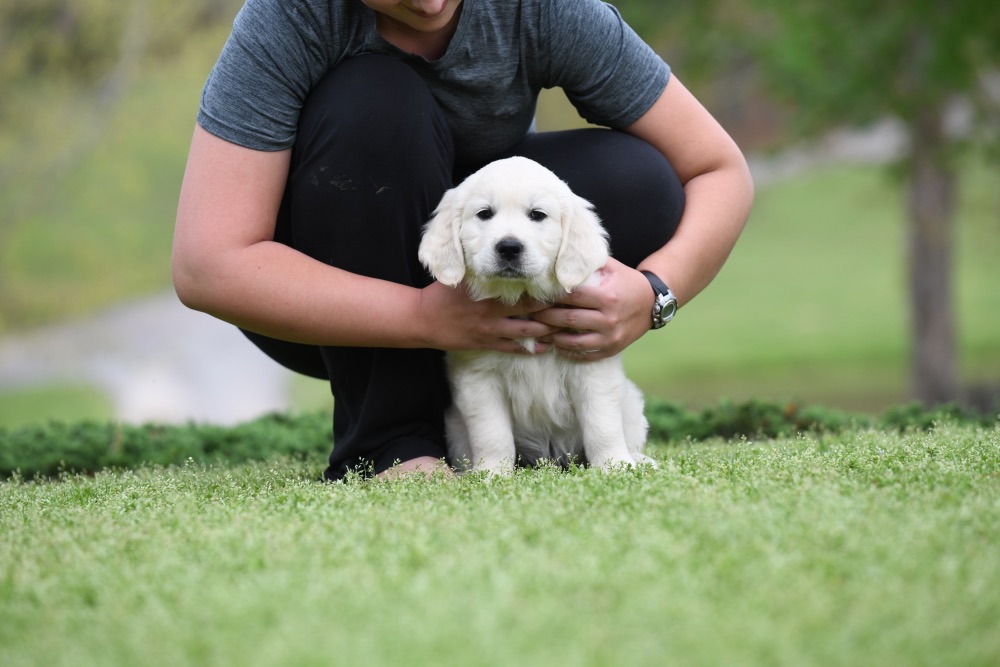 Piper's 6 Week Old Mr. Camo