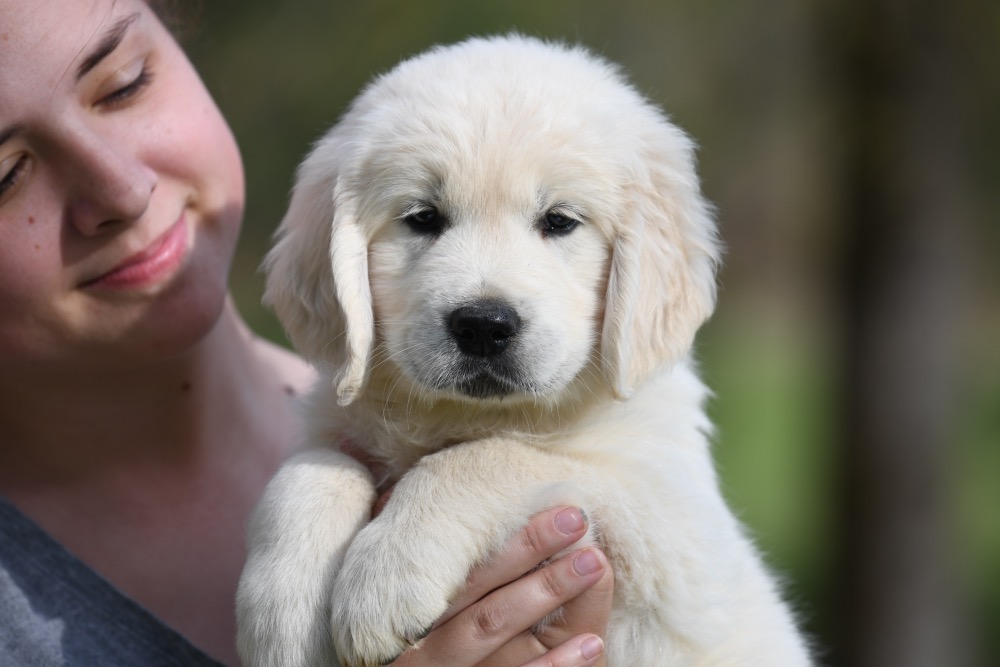 Piper's 6 Week Old Mr. RB