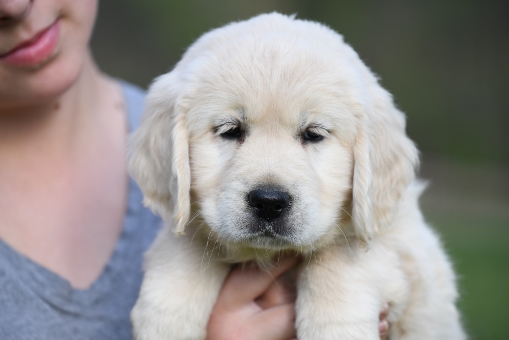 Piper's 6 Week Old Miss Bubbles