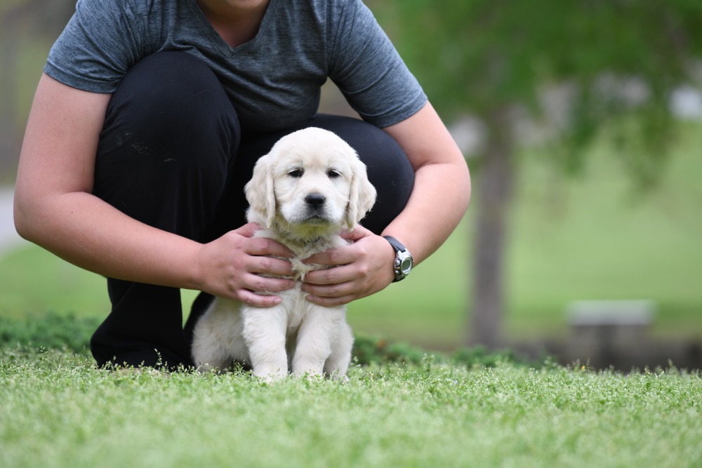 Piper's 6 Week Old Miss Bubbles