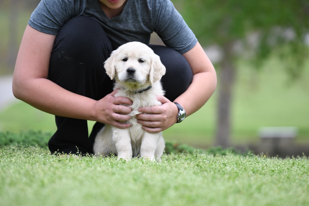 Piper's 6 Week Old Miss Bubbles