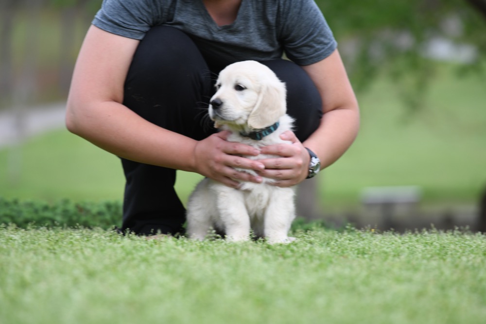 Piper's 6 Week Old Miss Teal Stripe