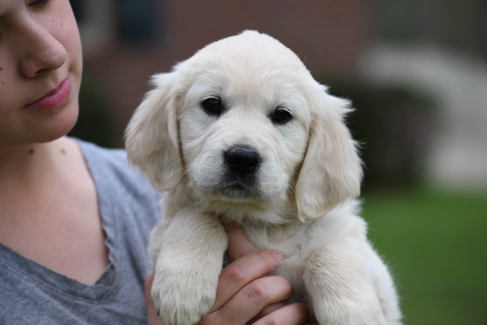 Piper's 6 Week Old Miss Lady Bug
