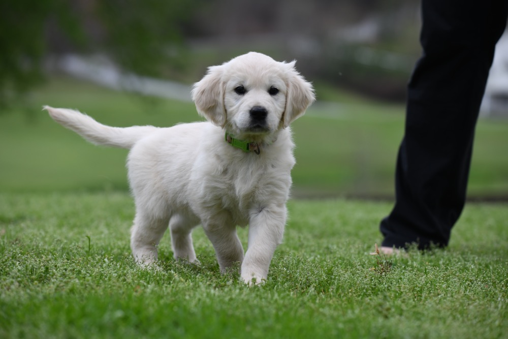 Piper's 6 Week Old Miss Lady Bug