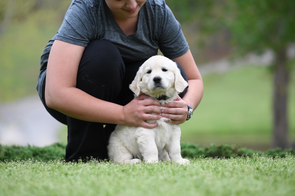 Piper's 6 Week Old Miss Paisley