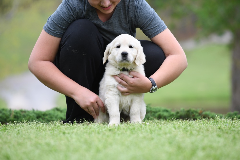 Piper's 6 Week Old Miss Paisley