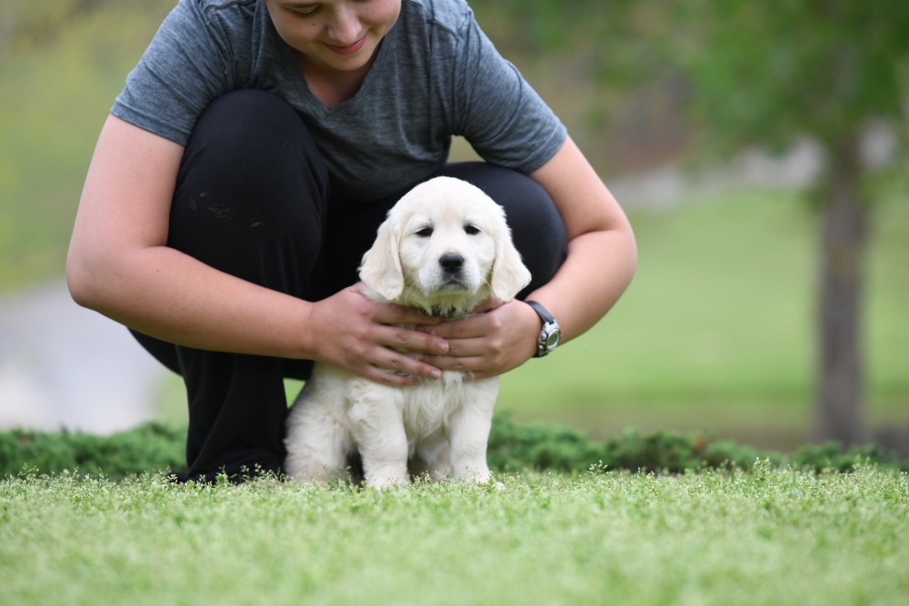 Piper's 6 Week Old Miss Paisley