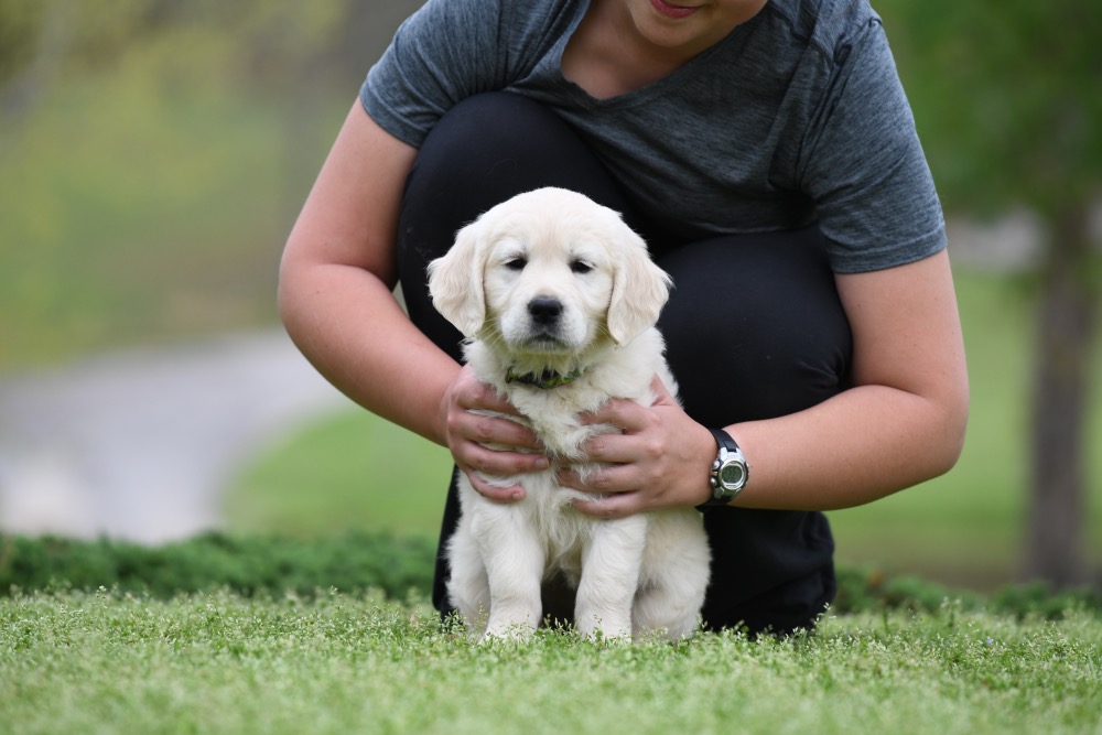 Piper's 6 Week Old Miss Paisley