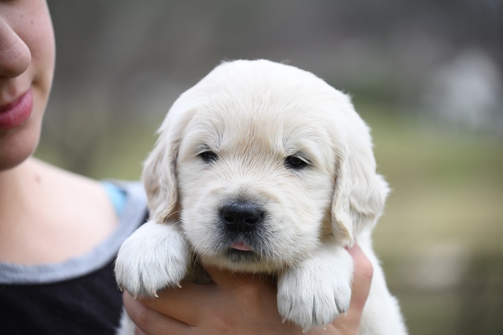 Piper's 4 Week Old Mr. RB
