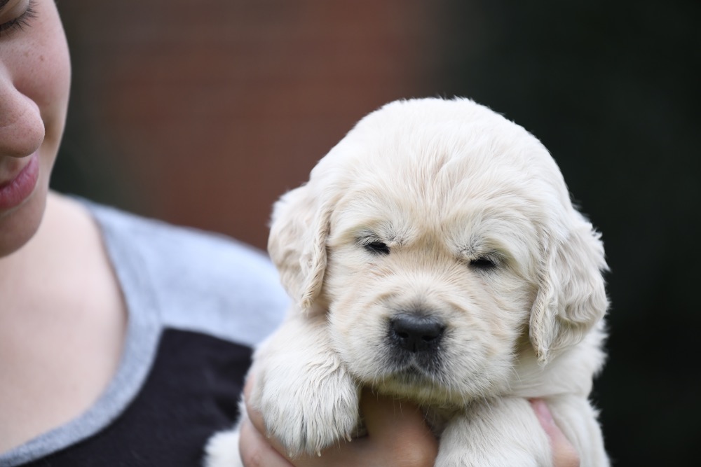 Piper's 4 Week Old Miss Bubbles