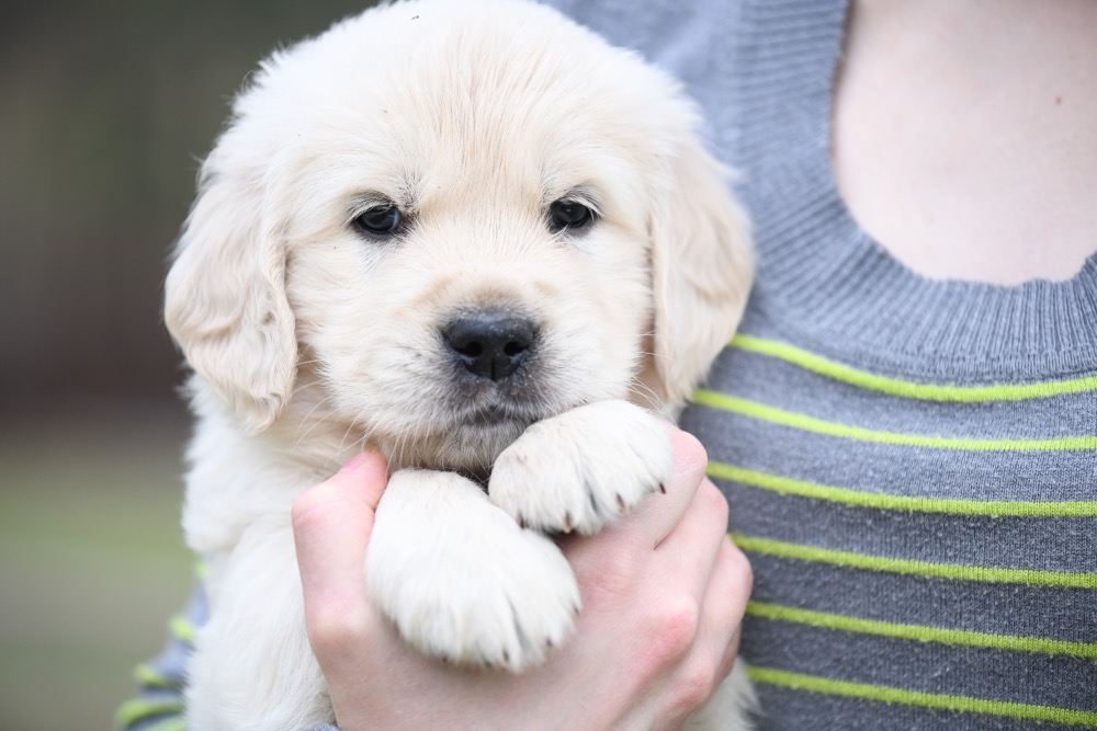Tara's 5 Week Old Mr. LB