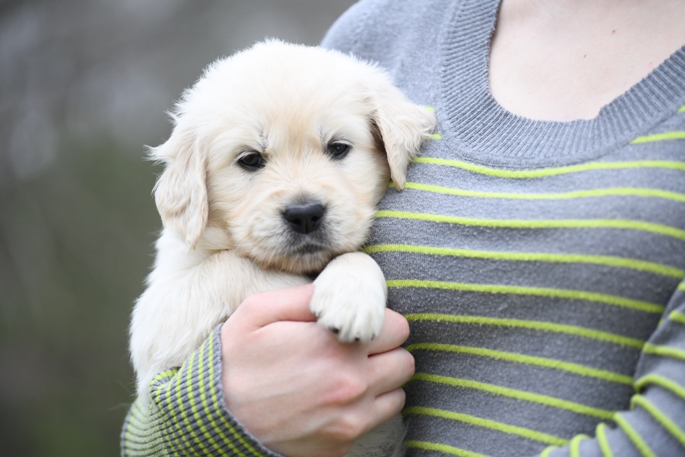 Tara's 5 Week Old Miss Pink Dottie
