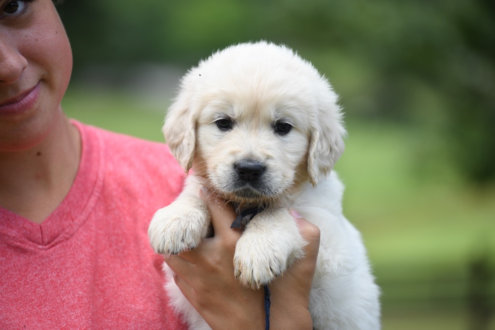 Piper's 5 week old Mr. Blue