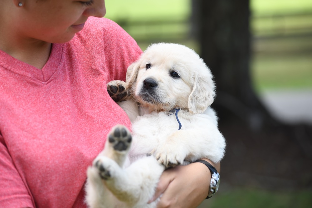 Piper's 5 week old Mr. Blue