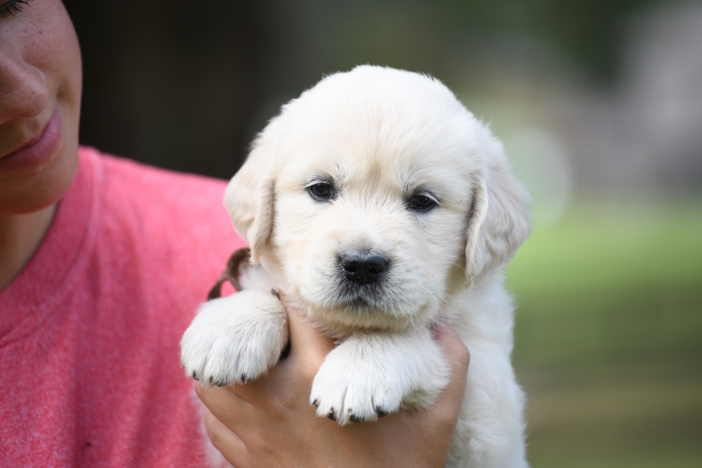 Piper's 5 week old Mr. Brown