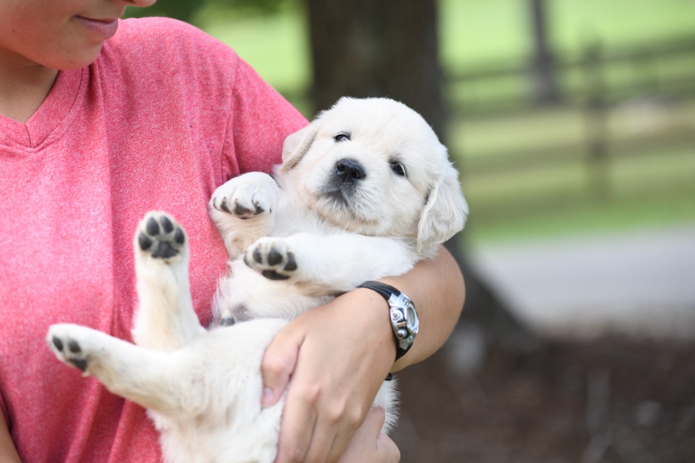 Piper's 5 week old Mr. Brown