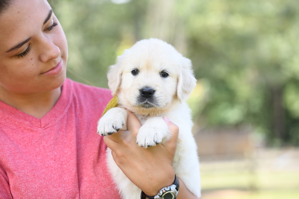 Piper's 5 week old Miss Yellow